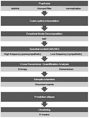 A Cross-Recurrence Analysis of the Pupil Size Fluctuations in Steady Scotopic Conditions